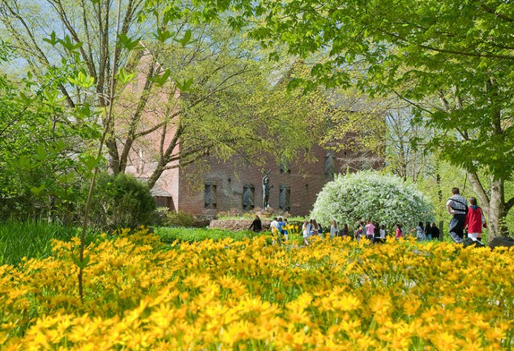 Wildflower & Native Plant Gardens, United States